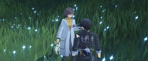 《鸣潮》倾听动物之声兔语翻译怎么做