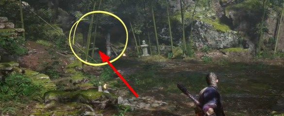 《黑神话悟空》落伽香藤怎么获取