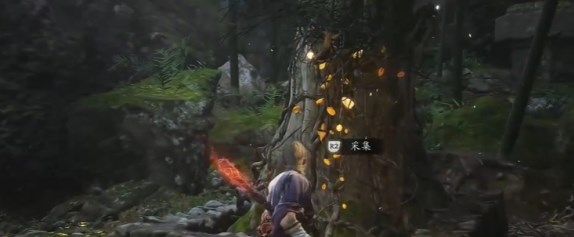 《黑神话悟空》落伽香藤怎么获取