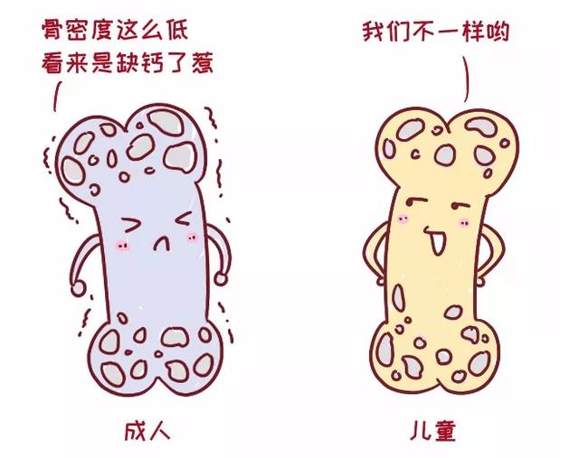 《支付宝》蚂蚁庄园2024分享汇总